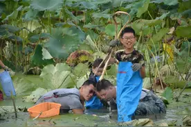 金秋十月，是什么活动让金海的孩子们“哇偶”连连？戳→图片