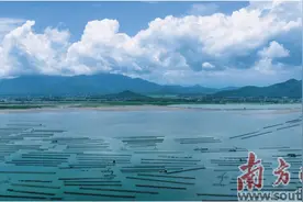 做好程村蚝文章 绘就圩镇新画卷图片