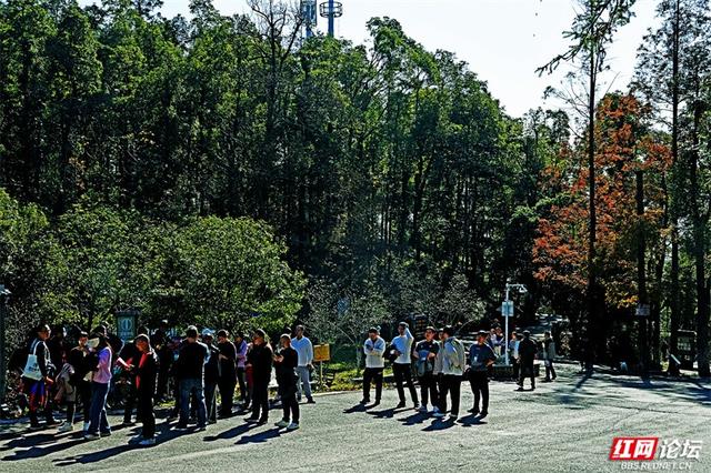 岁暖时刻丨无需远行，中坡山便是怀化的诗与远方