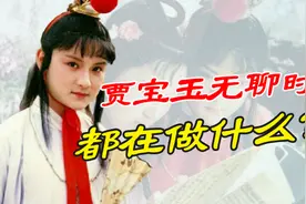 视频｜詹丹：贾宝玉真的不爱读书吗？图片