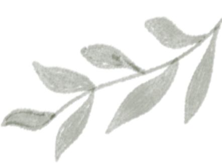 一场关于“景山”的古树自然课，触摸时光的形状，你来不？