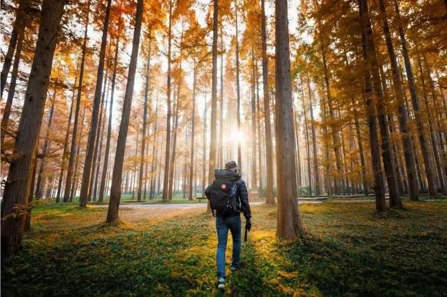 省里又点名了，还是东台