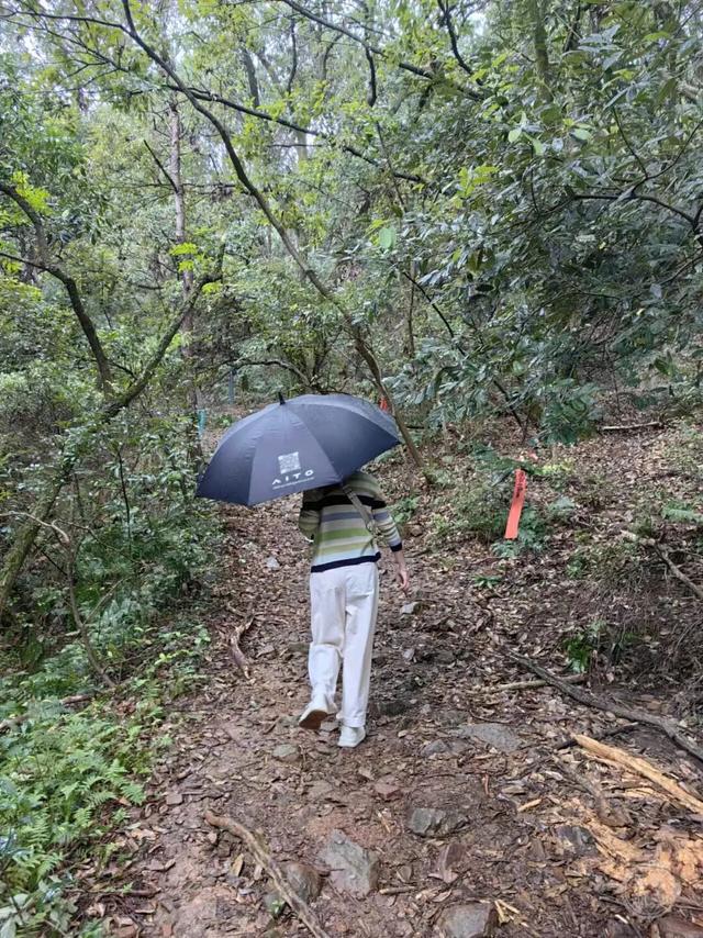 户外！户外！重要提醒