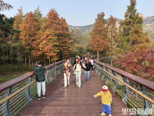 浮山南麓，藏着青岛最美冬日