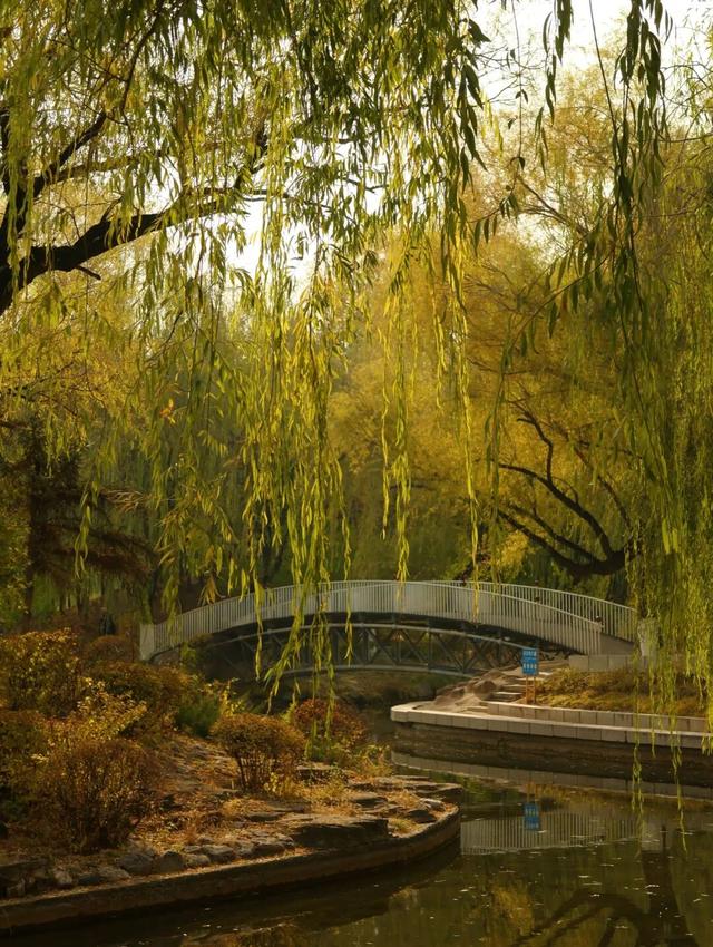 听，呼和浩特秋天的BGM正在你耳边播放