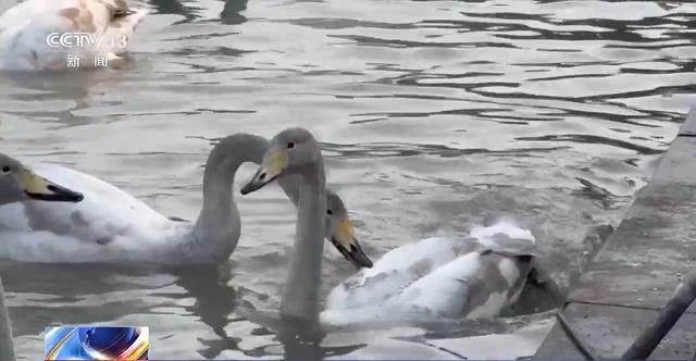 赏秋时节 “捡秋”有度才能留住秋日好时光