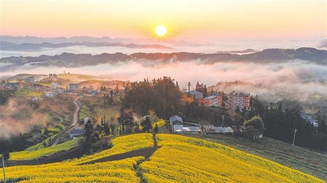 花海迎春入画来