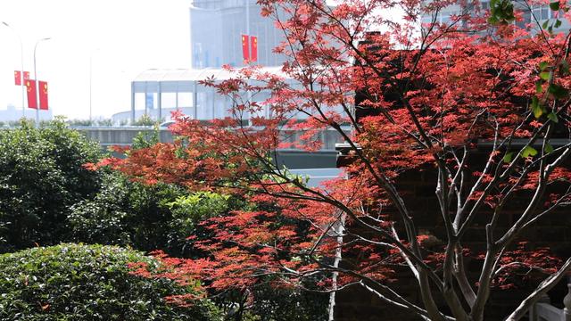 登临武昌城墙远眺，这座武汉公园藏着武昌古城往事