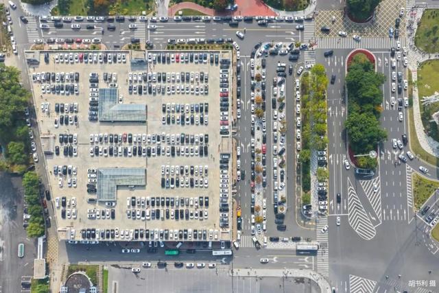 安全游园 文明游园 畅享生态之美