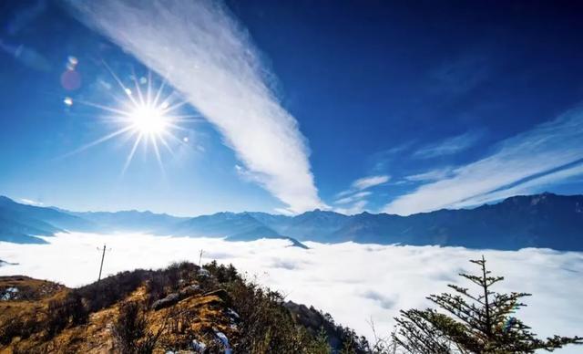 42℃的天往哪儿逃，自然是均温20℃的九龙啦！