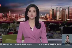 上海临港：打造制度型开放示范区 数据跨境服务中心启用视频封面