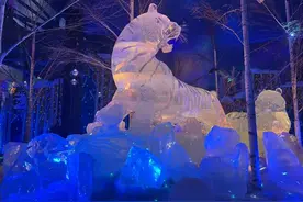 记录中国丨冬去夏来，冰城哈尔滨如何续写冰雪旅游热图片