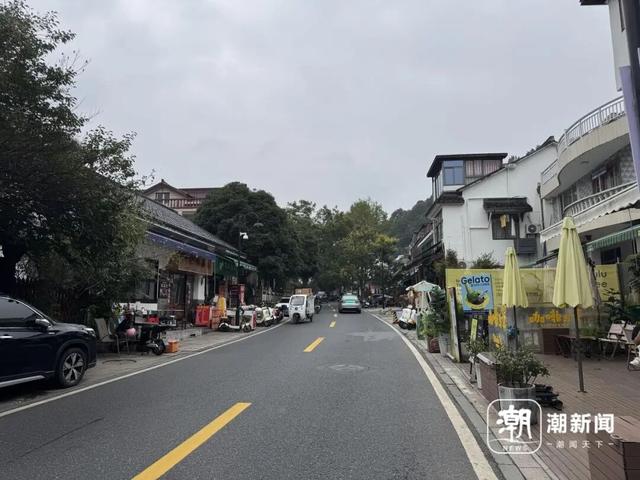 今年杭州第一朵桂花开了？西湖边三朵，上了热搜