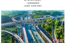 这辈子，一定要去一趟南宁，感受一次“生机勃勃”的夜图片