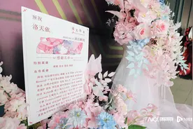 直击洛天依广州演唱会：虚拟偶像的长红密码与圈层力量图片
