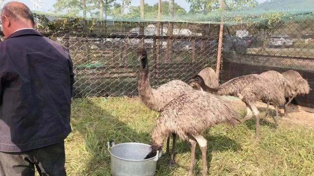 禾风稻田农场12月13日、14日盛大开启！