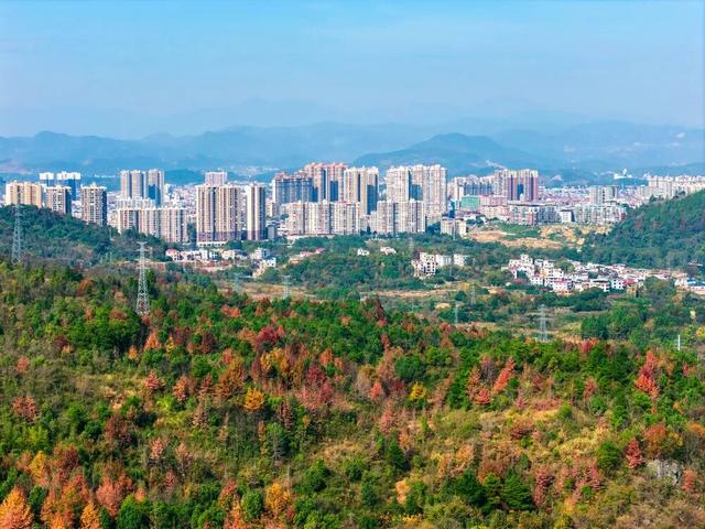 日子寻常，门前的风光不重样：记录湖南冬日限定的温柔