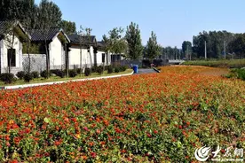 沂南县孙祖镇东高庄片区：山村里的史诗剧场图片