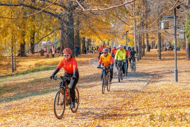 影像视觉 | 明光秋日长：嘉山秀水，自在明光