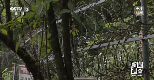 户外探险事故频发 如何规范管理“越界”行为？