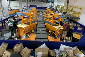 一日千里！从余姚54.5万单杨梅快递单看现代“货郎担”图片