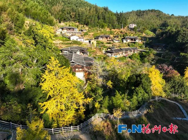 惊艳上线！福州这里变身“黄金村”！还有人靠它悄悄赚钱……