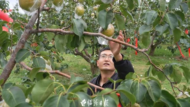 如何让“爆火”走向“长红”？看山西隰县答卷