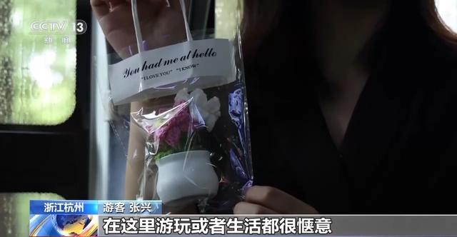 “看熊猫专线” “赏荷巴士”……暑期解锁一站式旅游观光