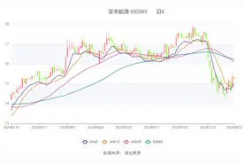 宝丰能源：2024年上半年净利润33.05亿元 同比增长46.44%图片