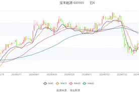 宝丰能源：2024年上半年净利润33.05亿元 同比增长46.44%图片