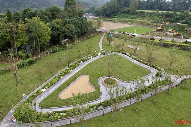 在这里“狗狗”是主角 成都邛崃这处上万平米森犬乐园来啦