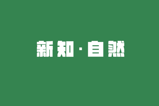 狂欢到底！“国庆中国龙奇妙夜”·第七弹来啦！