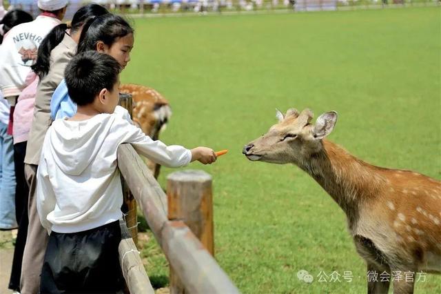 会泽雨碌大地缝：捞鱼抓鸭嗨翻天‖雨碌乡捞鱼狂欢节