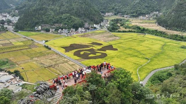 错峰出游正当时！乐享贵州金秋康养体验