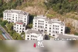 估值近4亿别墅群烂尾：开发商破产停工5年，流拍5次后将以近1.9亿起拍图片