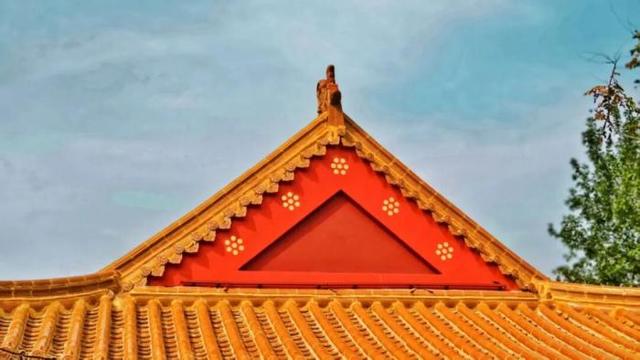 家门口享惬意时光！滨州一小岛对外开放