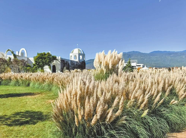 旅居云南 | 冬来风景好 寄情山水间
