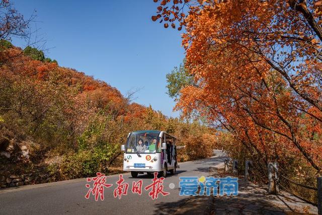 济南红叶谷：满山红遍燃秋意，层林尽染醉游人