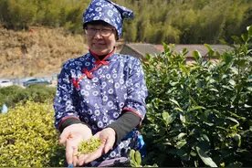 宁波北仑的“共富”实践：工坊托起“金叶子”，艺术乡建激活“沉睡资源”图片