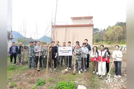 连州东陂迷彩绿为大地添新绿，共筑美丽家园图片
