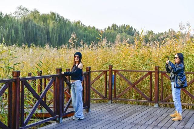 太美了，别眨眼！接下来的副中心将是这种颜色——