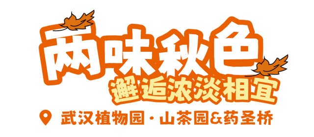 东湖这四处绝美秋景，出片率100%