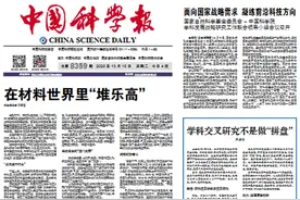 亩产超300公斤！耐盐大豆新品系再获高产图片