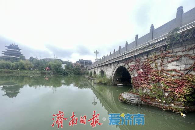 秋雨润青州：千年古城的文脉回响与时代脉动