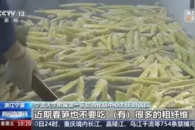 鲜掉眉毛但不宜多吃！吃春笋有啥讲究？图片