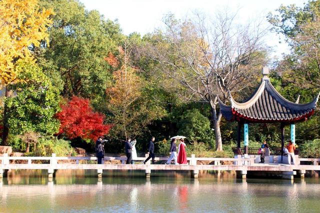 江苏苏州：虎丘景区色彩斑斓