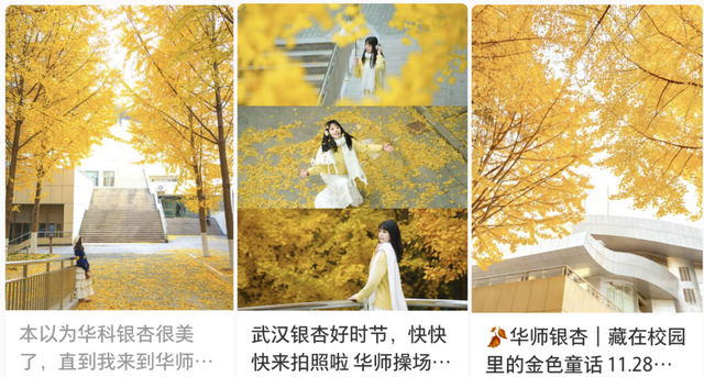 限时绝美！年度顶流！