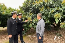 花香满园！廉江海关靠前服务下好支持荔枝出口“先手棋”图片