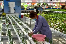 邀市民到昌平共赴春日之约 2025首届昌农花卉踏春季开幕图片