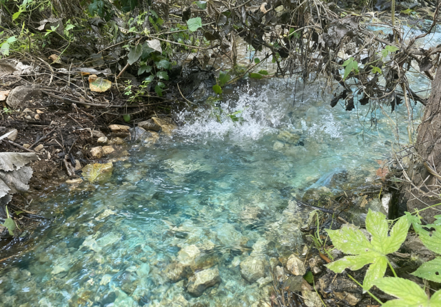 顺义古泉“苏醒”！干涸28年的金鸡塘泉何以复涌？